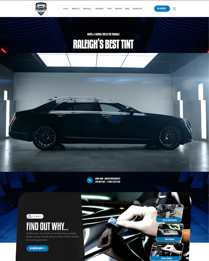 Professional web design portfolio - E-commerce and business websites by Ali Haseeb, Islamabad web developer